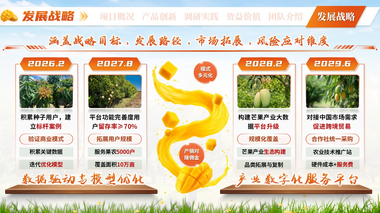 《芒香物候》三创赛第11页预览图