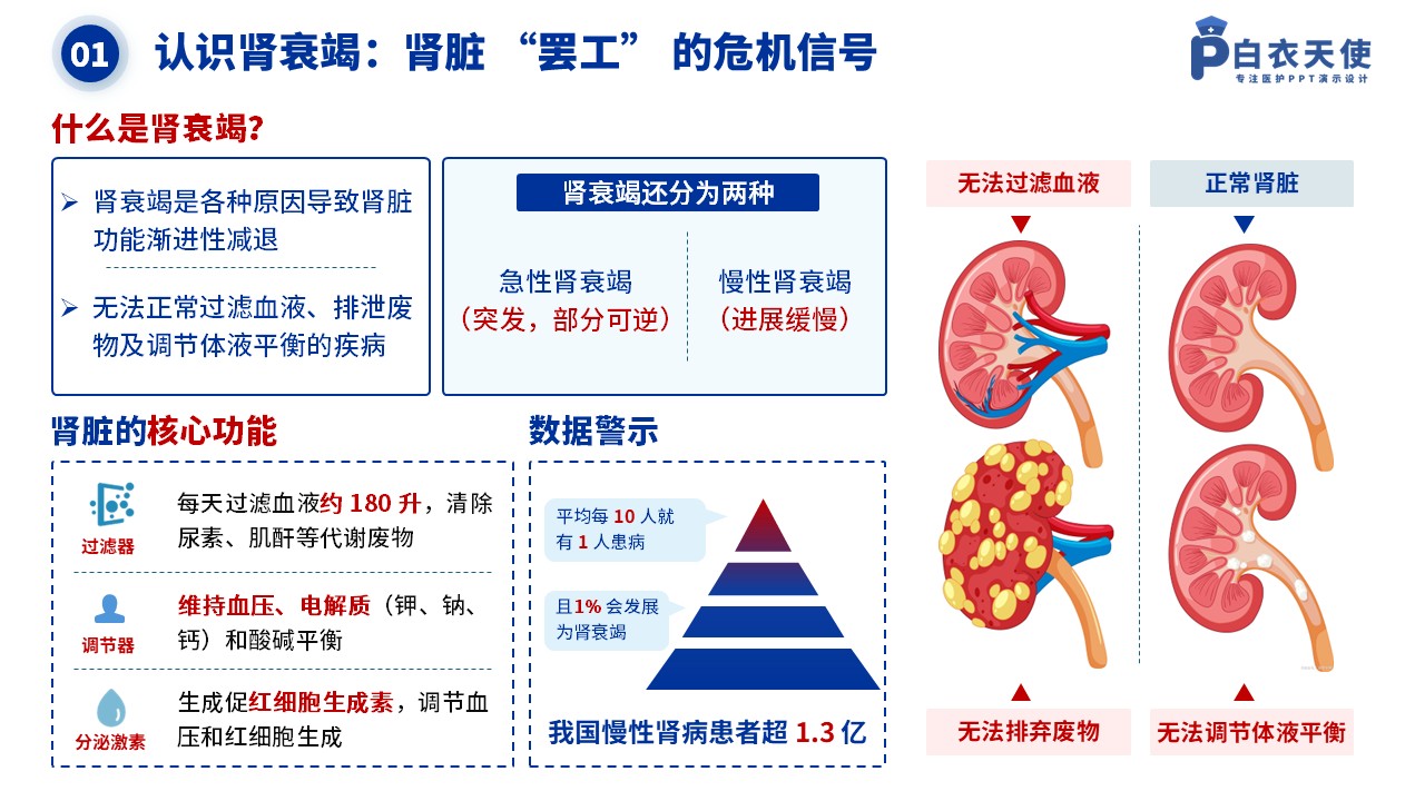 40-肾衰竭健康宣教第3页预览