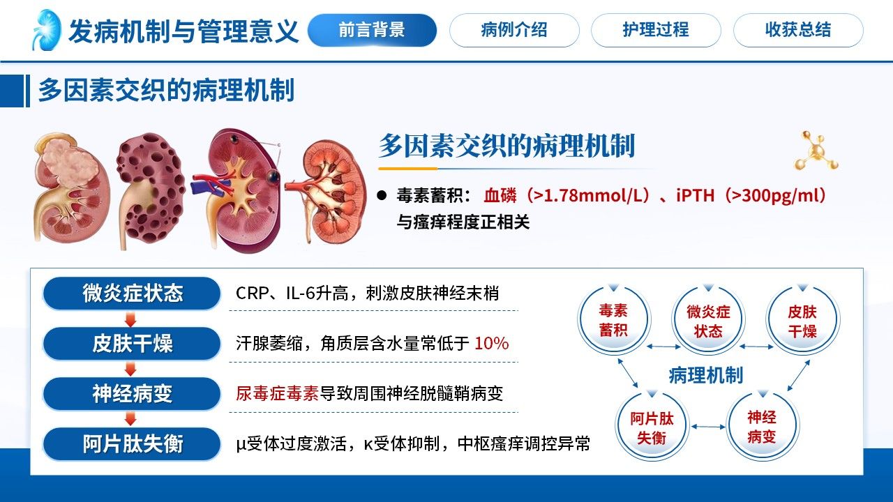 498期-护理个案-一例尿毒症皮肤瘙痒患者的护理个案第4页预览