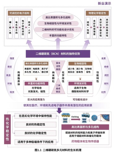 12-2科研架构图(二维硼碳氮多元材料-紫红)