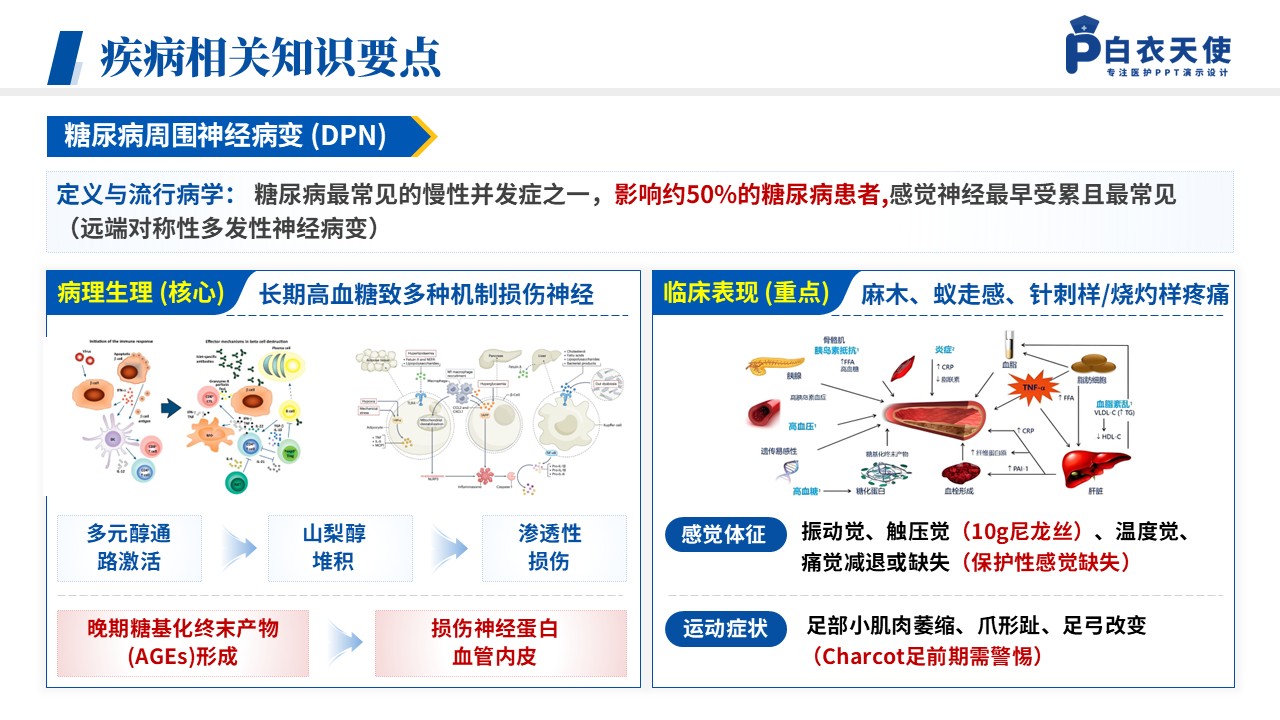 147期-循证护理教学查房(糖尿病护理)第13页预览