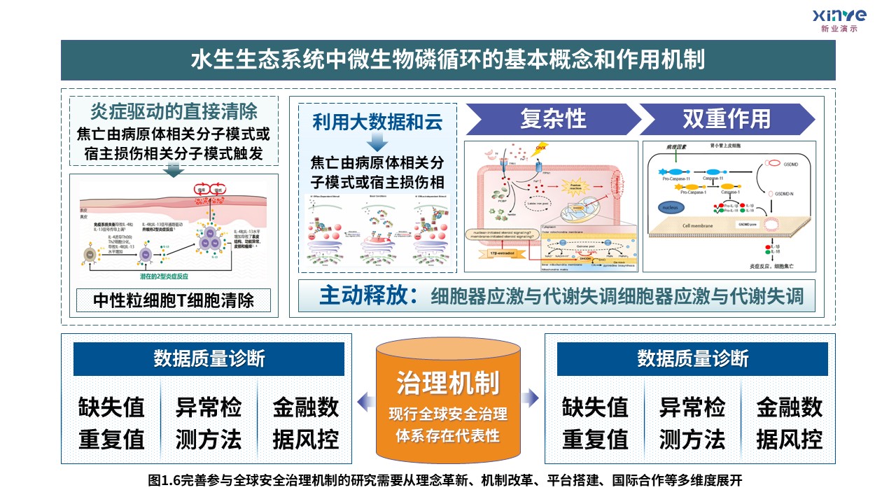 5-2科研架构图（全球安全治理机制研究-绿黄蓝）第6页预览图