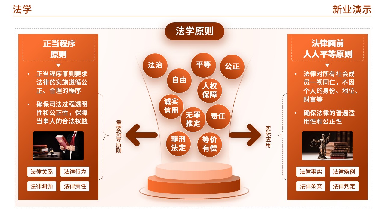 47-2 法学(棕色)第6页预览图