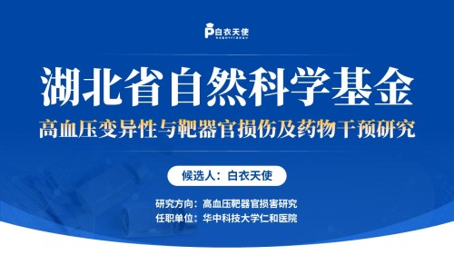 132期-湖北省医疗杰青(高血压药物干预-蓝色)