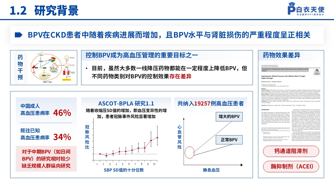 132期-湖北省医疗杰青（高血压药物干预-蓝色）第4页预览