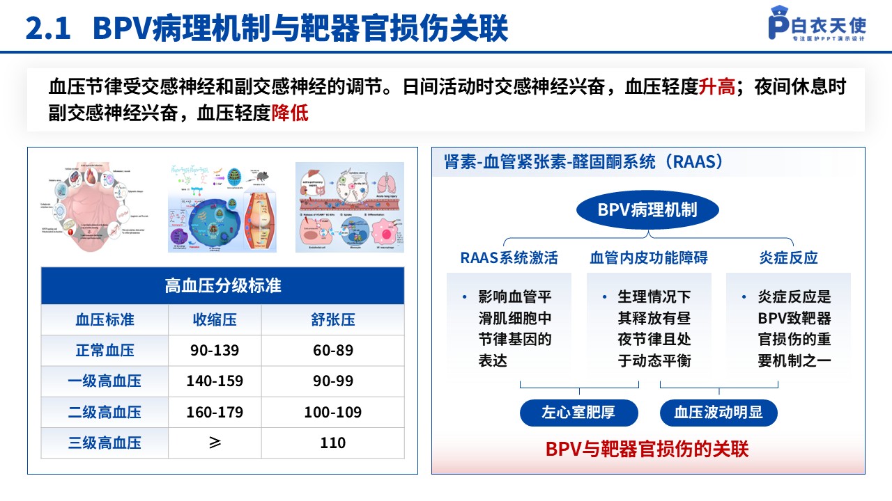 132期-湖北省医疗杰青（高血压药物干预-蓝色）第7页预览