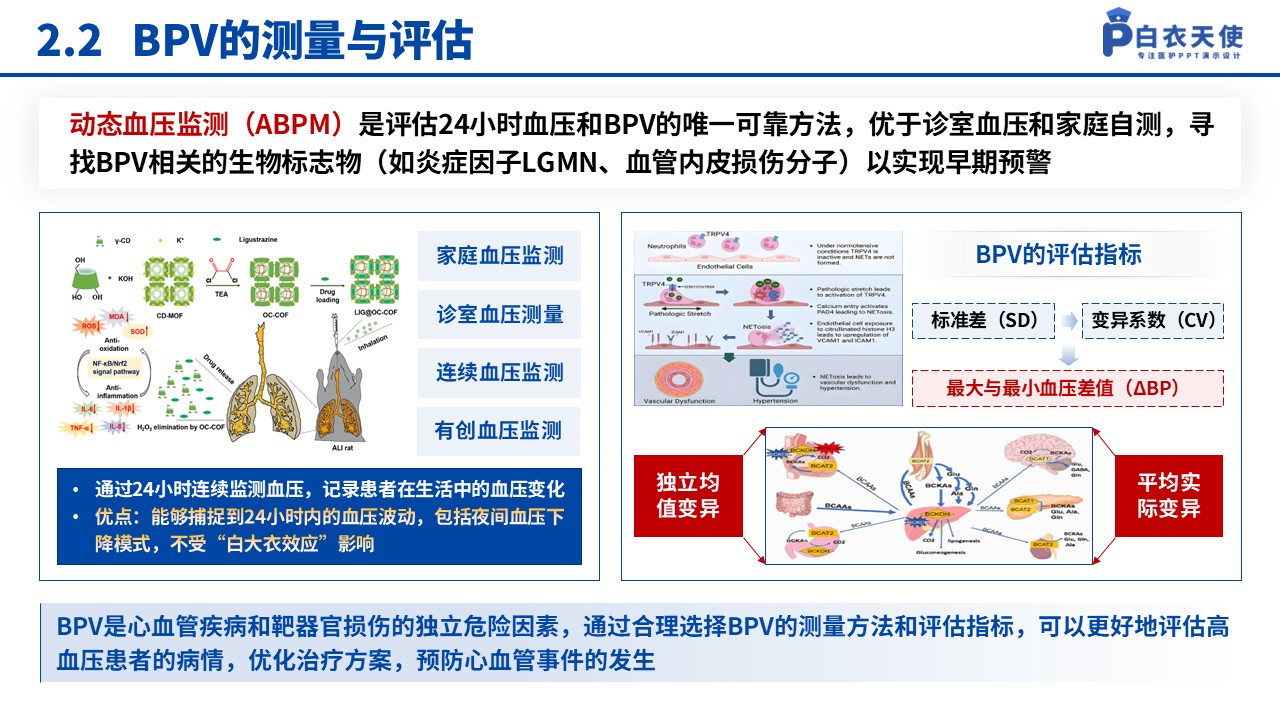 132期-湖北省医疗杰青（高血压药物干预-蓝色）第8页预览