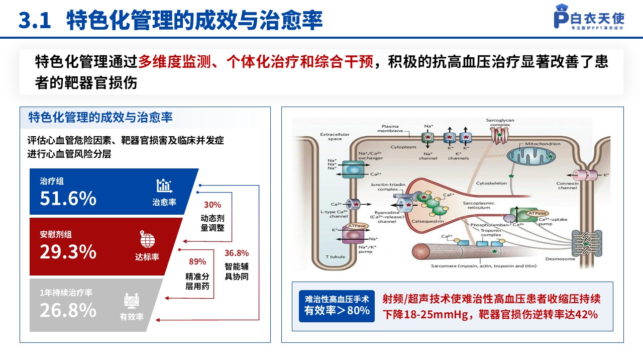132期-湖北省医疗杰青（高血压药物干预-蓝色）第12页预览