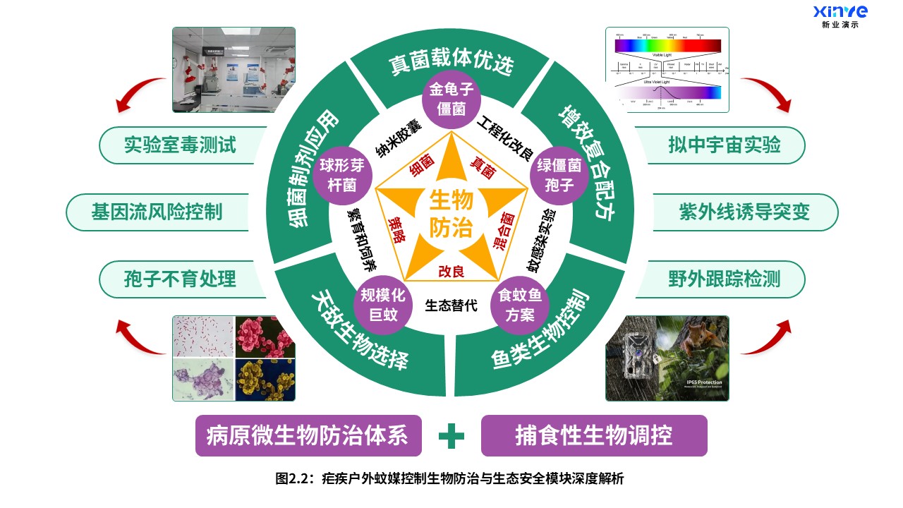 11-2科研架构图（疟疾户外蚊媒-橙绿紫）第3页预览图