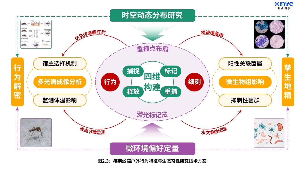 11-2科研架构图（疟疾户外蚊媒-橙绿紫）第4页预览图