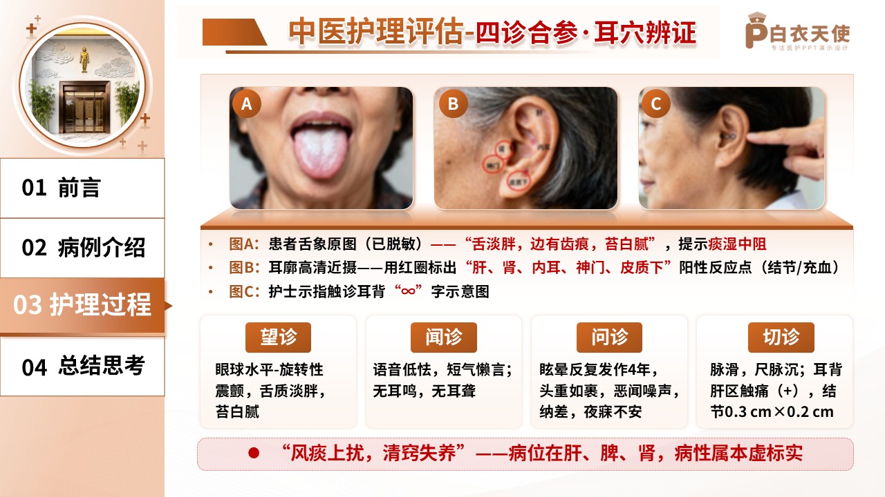 202期-护理个案-中医主题第10页预览