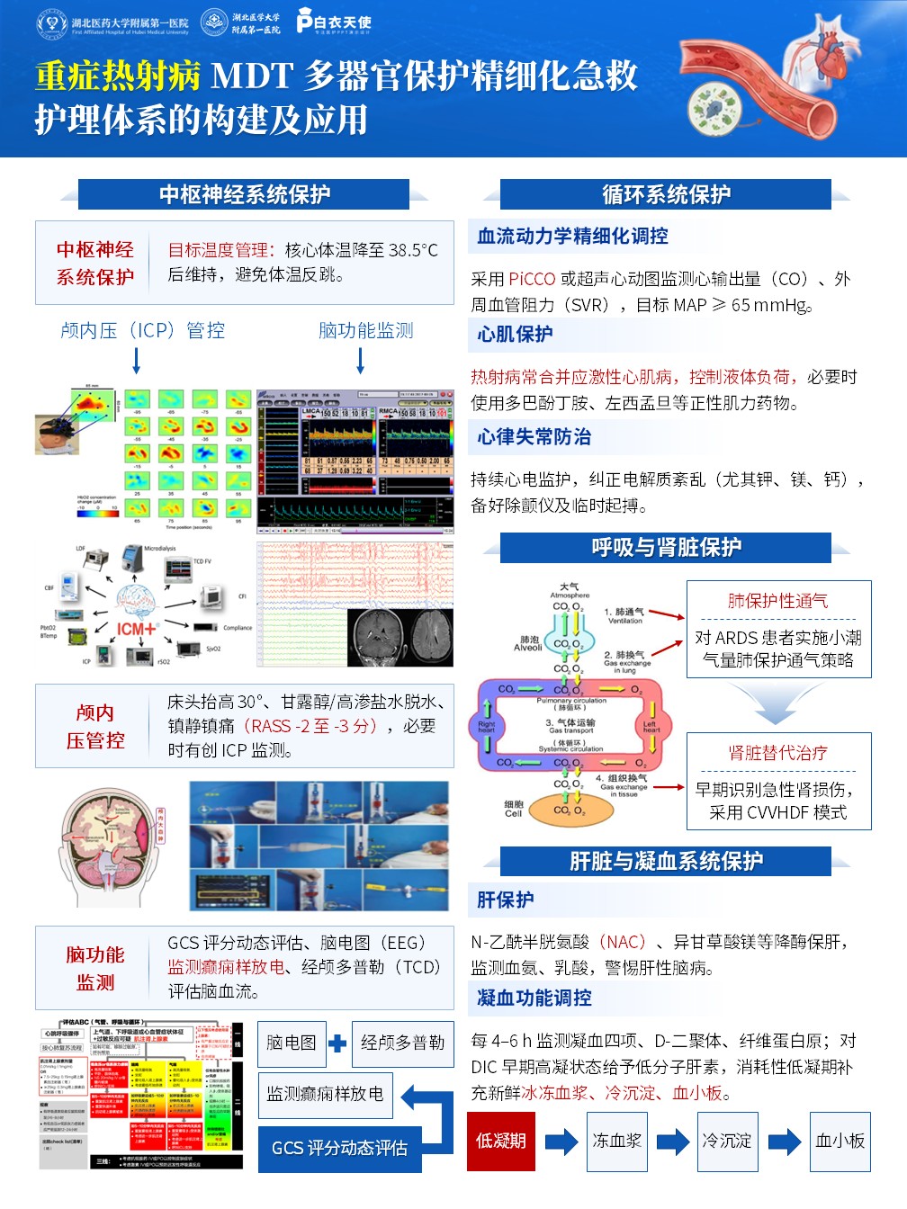 432期-医疗展板-重症热射病 MDT 多器官保护精细化急救护理体系的构建及应用第3页预览