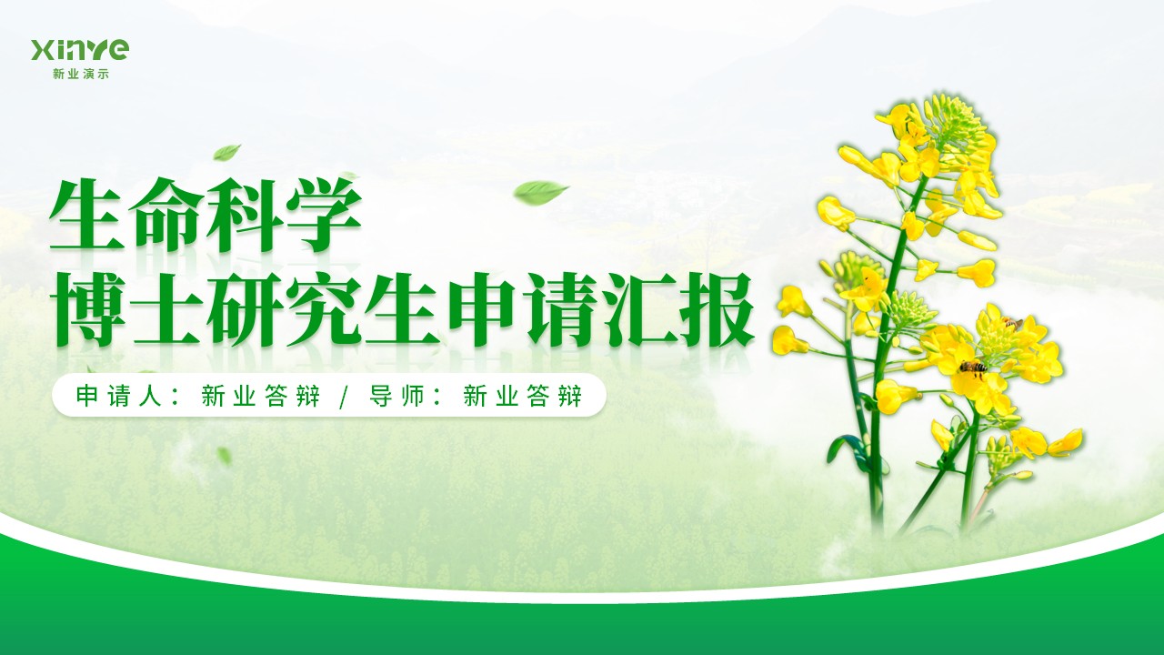 博士研究生申请纯模板(油菜花绿色)