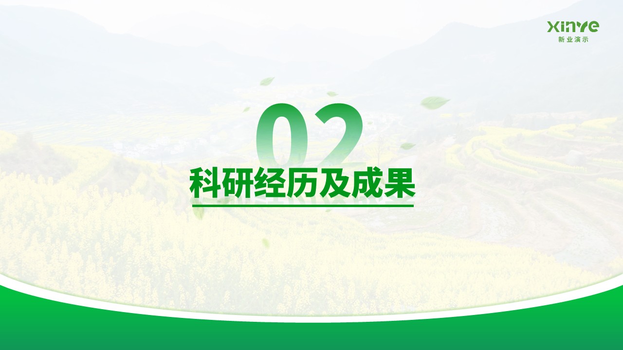 博士研究生申请纯模板(油菜花绿色)第6页预览图