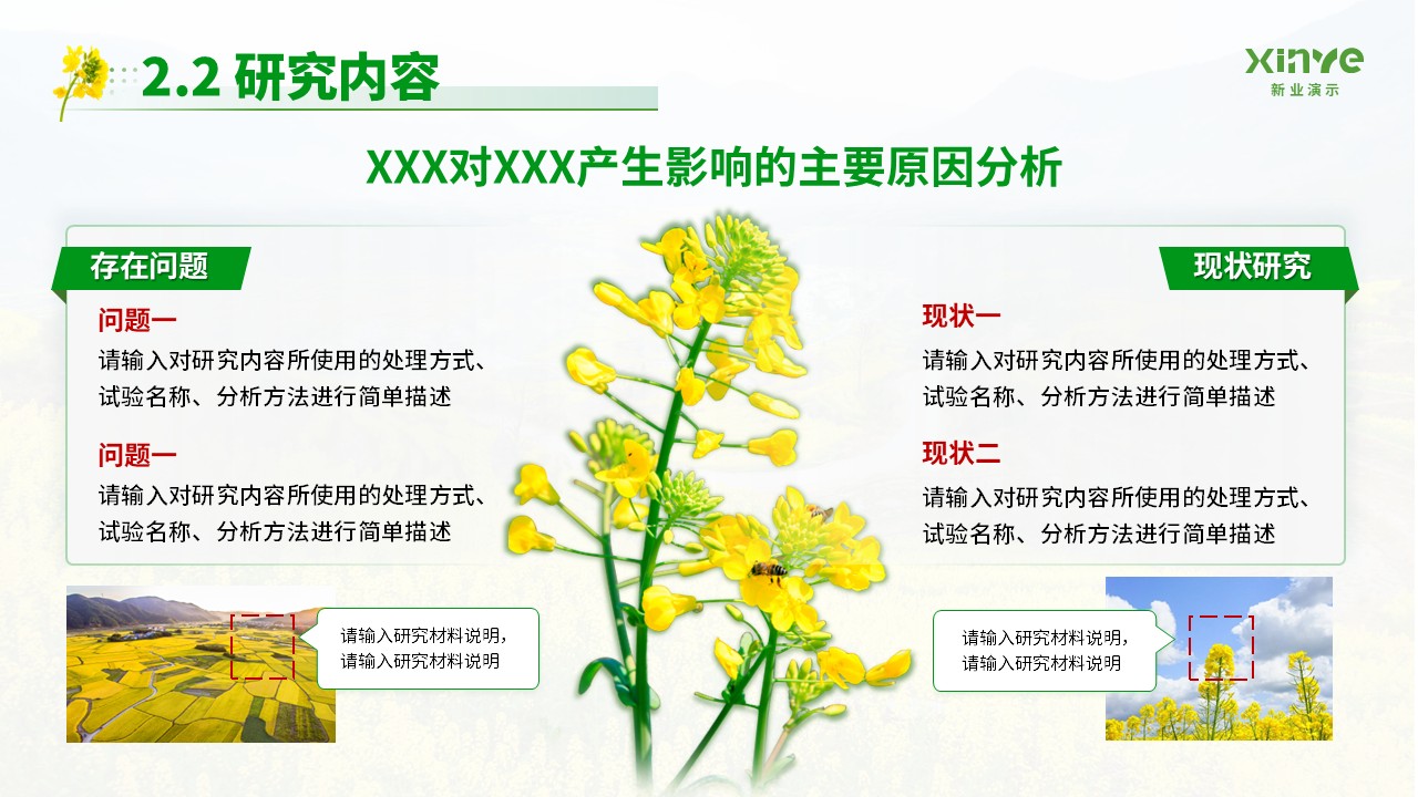博士研究生申请纯模板(油菜花绿色)第8页预览图