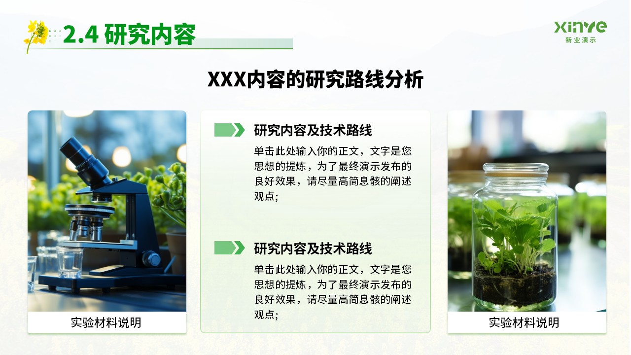 博士研究生申请纯模板(油菜花绿色)第10页预览图