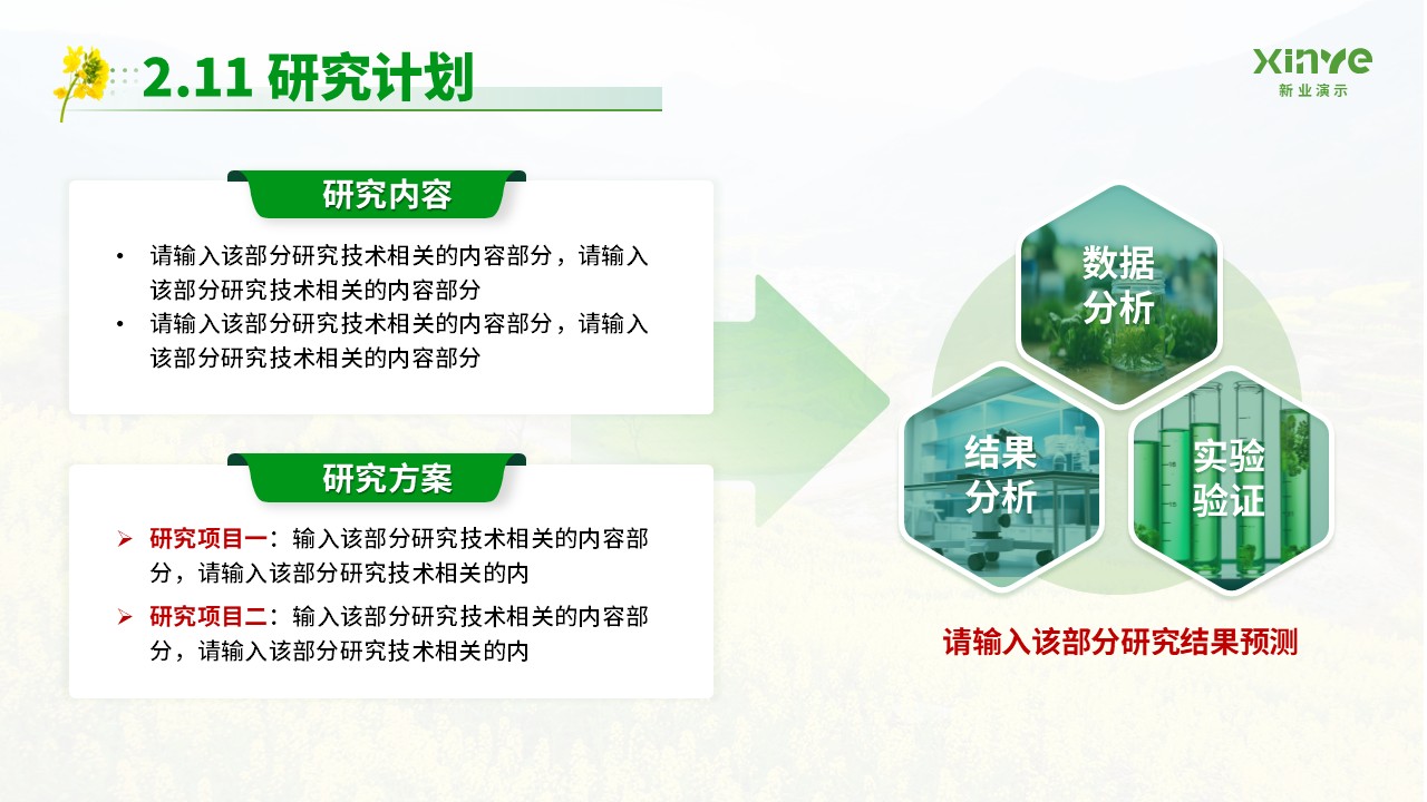 博士研究生申请纯模板(油菜花绿色)第17页预览图
