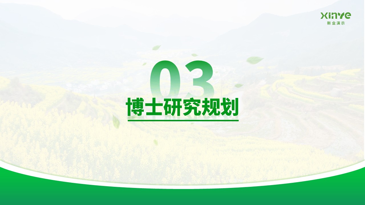 博士研究生申请纯模板(油菜花绿色)第18页预览图
