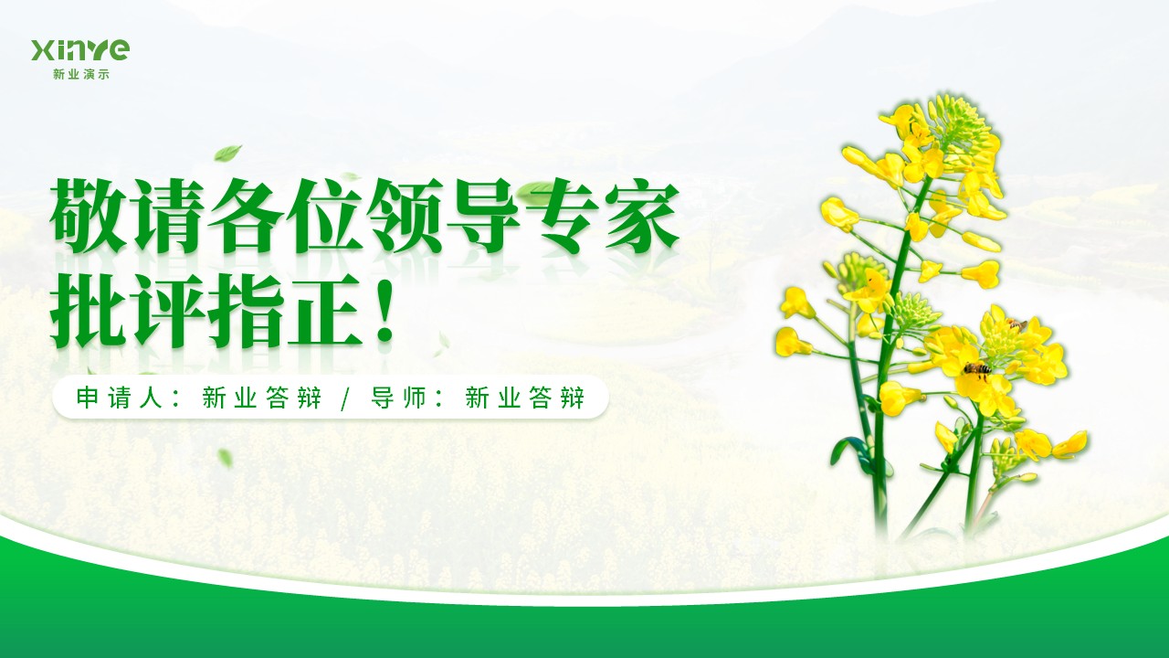 博士研究生申请纯模板(油菜花绿色)第20页预览图