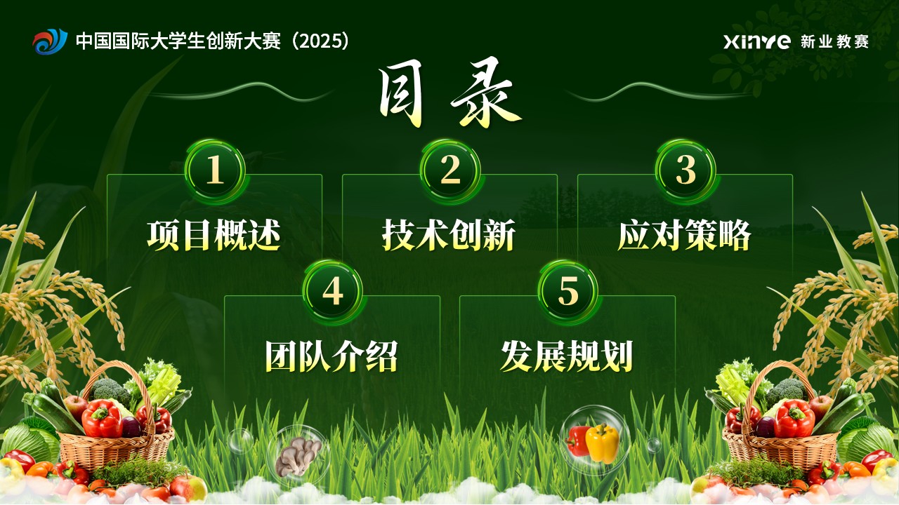 《智链农情》大创赛第2页预览图