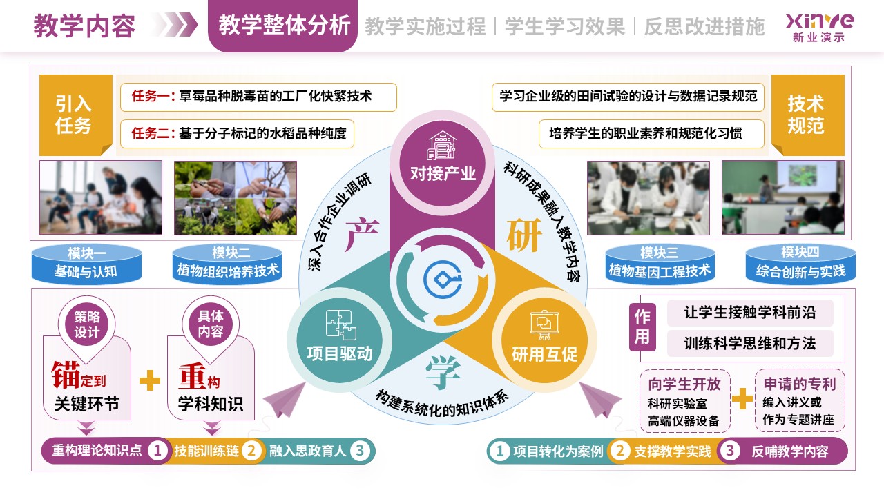教学实施报告（植物生物技术-紫黄绿）第2页预览图