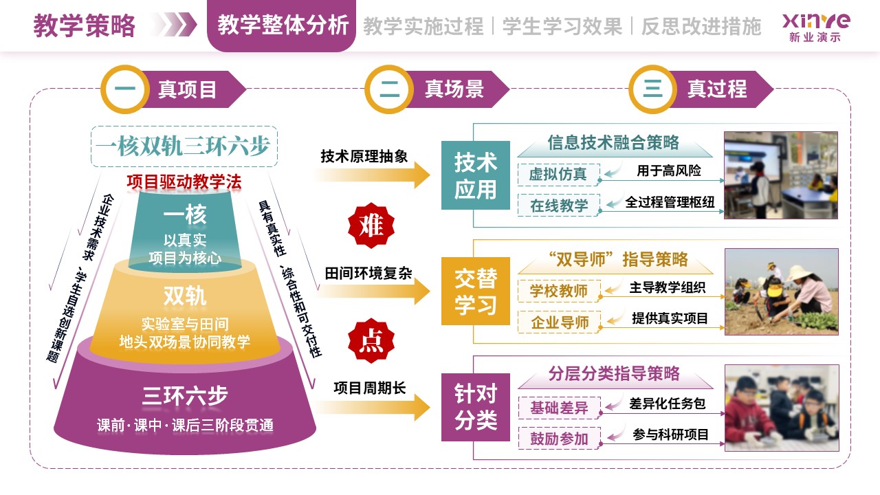 教学实施报告（植物生物技术-紫黄绿）第3页预览图