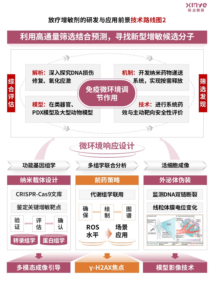89-1科研绘图（放疗增敏剂-粉色）第2页预览图