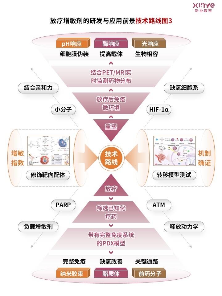 89-1科研绘图（放疗增敏剂-粉色）第3页预览图