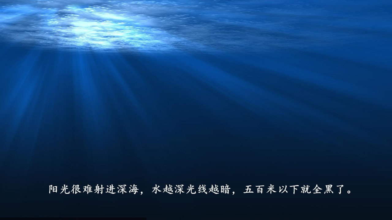 《海底世界》第12页预览图