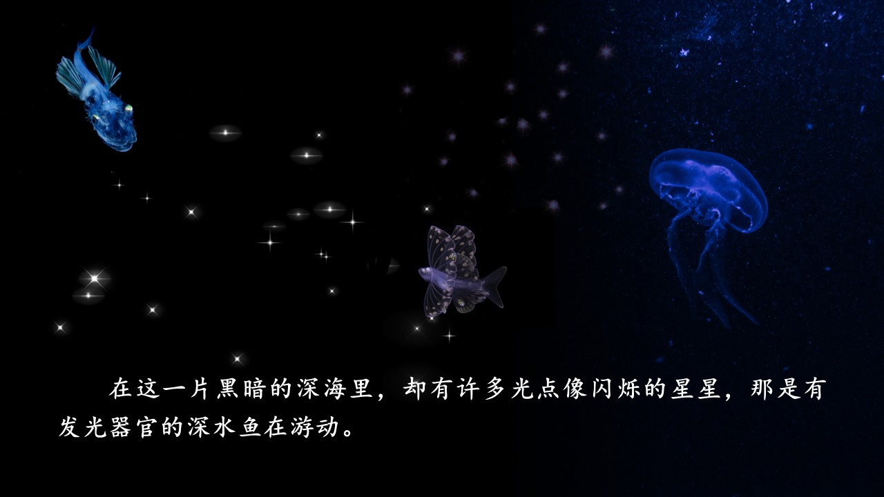 《海底世界》第13页预览图