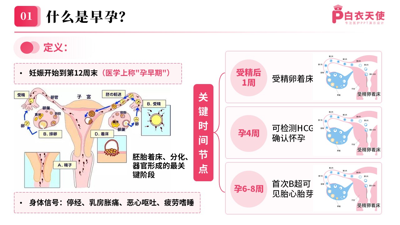 80期-早孕关爱科普课堂第3页预览