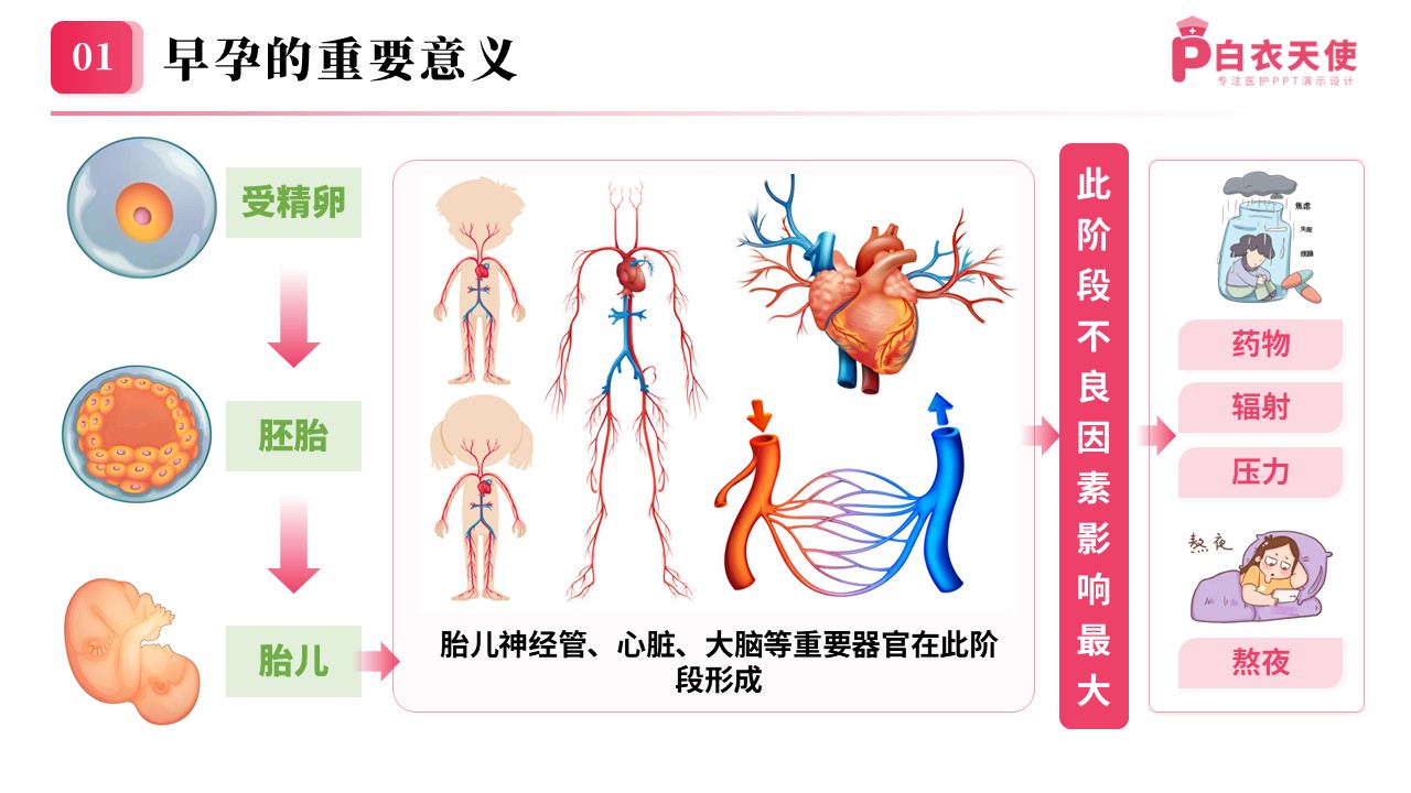 80期-早孕关爱科普课堂第4页预览