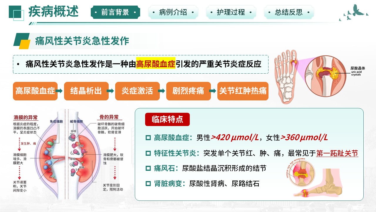 516期-疑难病例-痛风性关节炎反复急性发作疑难病例第3页预览