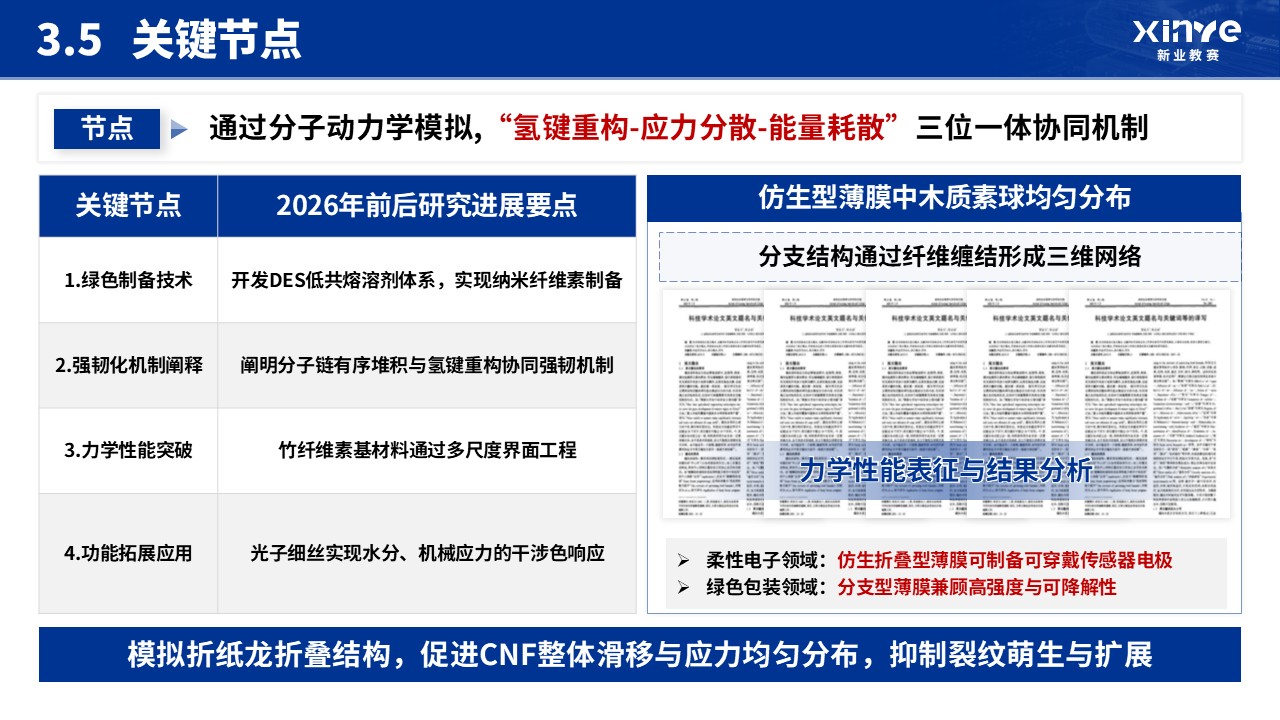 博士入学申请答辩(纳米纤维素-蓝色）第15页预览图