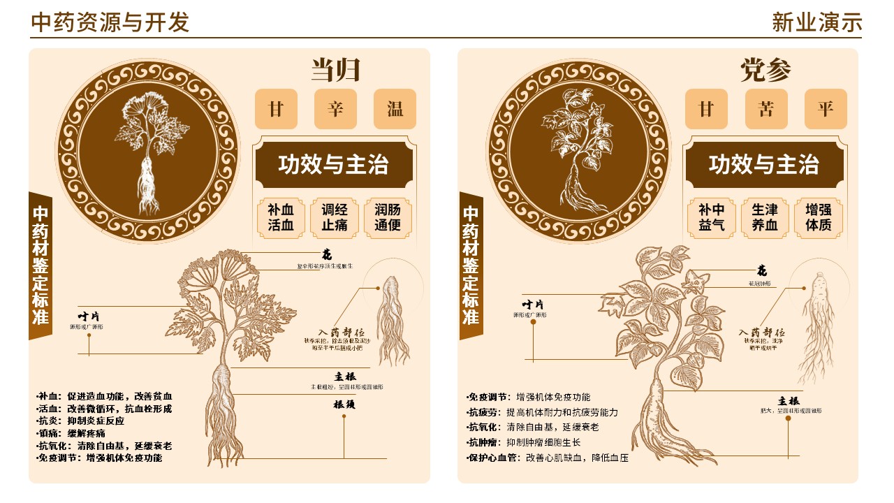 48-2 《中药材学》(棕色)第3页预览图