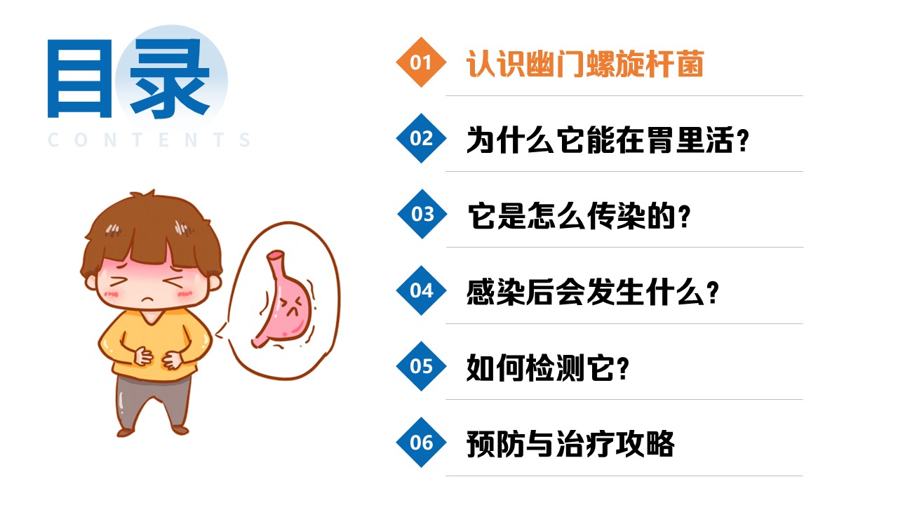 92-幽门螺旋杆菌探秘第2页预览