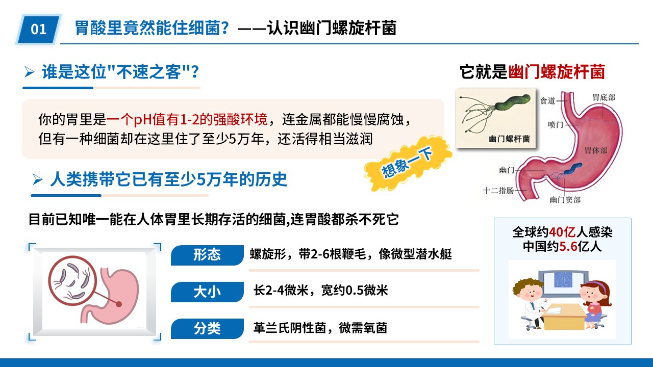 92-幽门螺旋杆菌探秘第3页预览