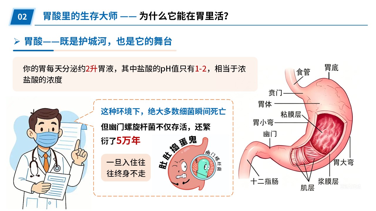 92-幽门螺旋杆菌探秘第4页预览
