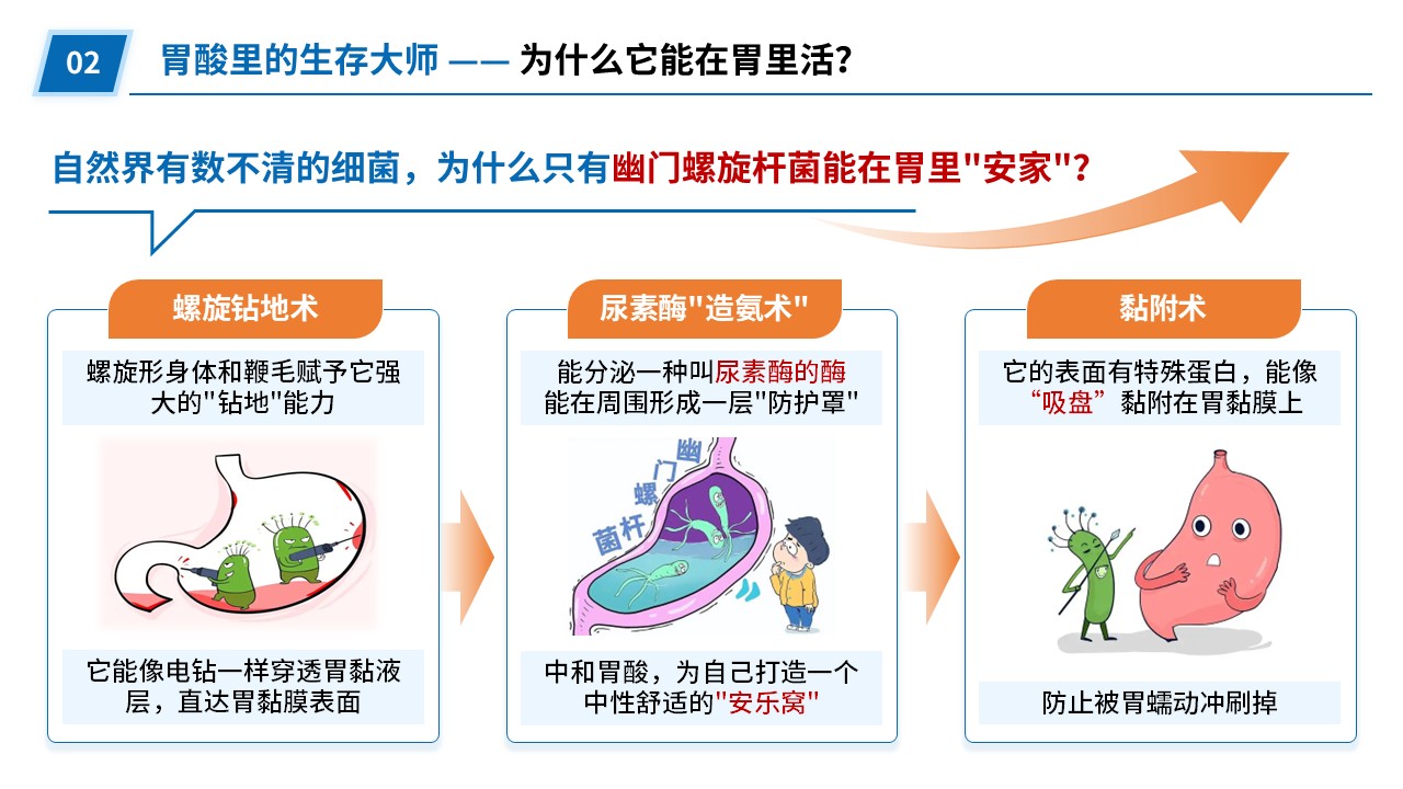 92-幽门螺旋杆菌探秘第5页预览