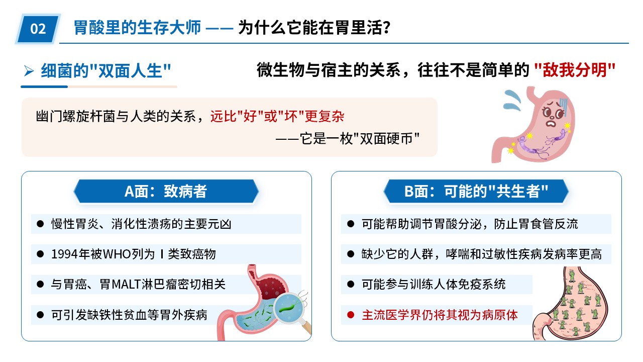 92-幽门螺旋杆菌探秘第6页预览