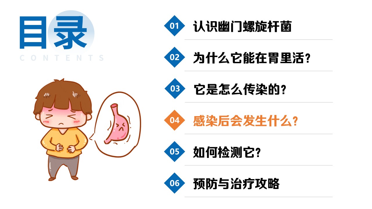 92-幽门螺旋杆菌探秘第11页预览