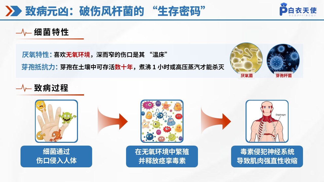 47-破伤风健康宣教第4页预览