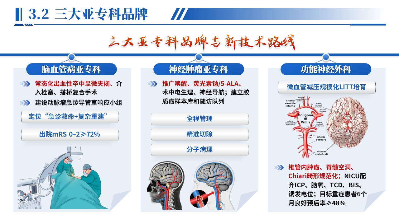 479期-竞聘述职-神经外科主任竞聘述职第13页预览