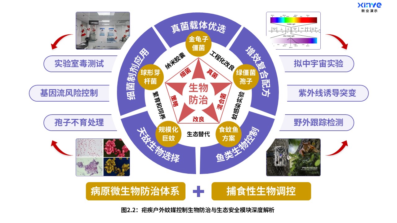 11-1科研架构图（疟疾户外蚊媒-棕紫红）第3页预览图