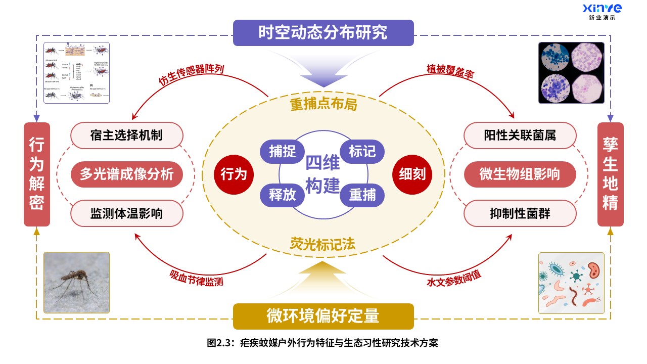 11-1科研架构图（疟疾户外蚊媒-棕紫红）第4页预览图