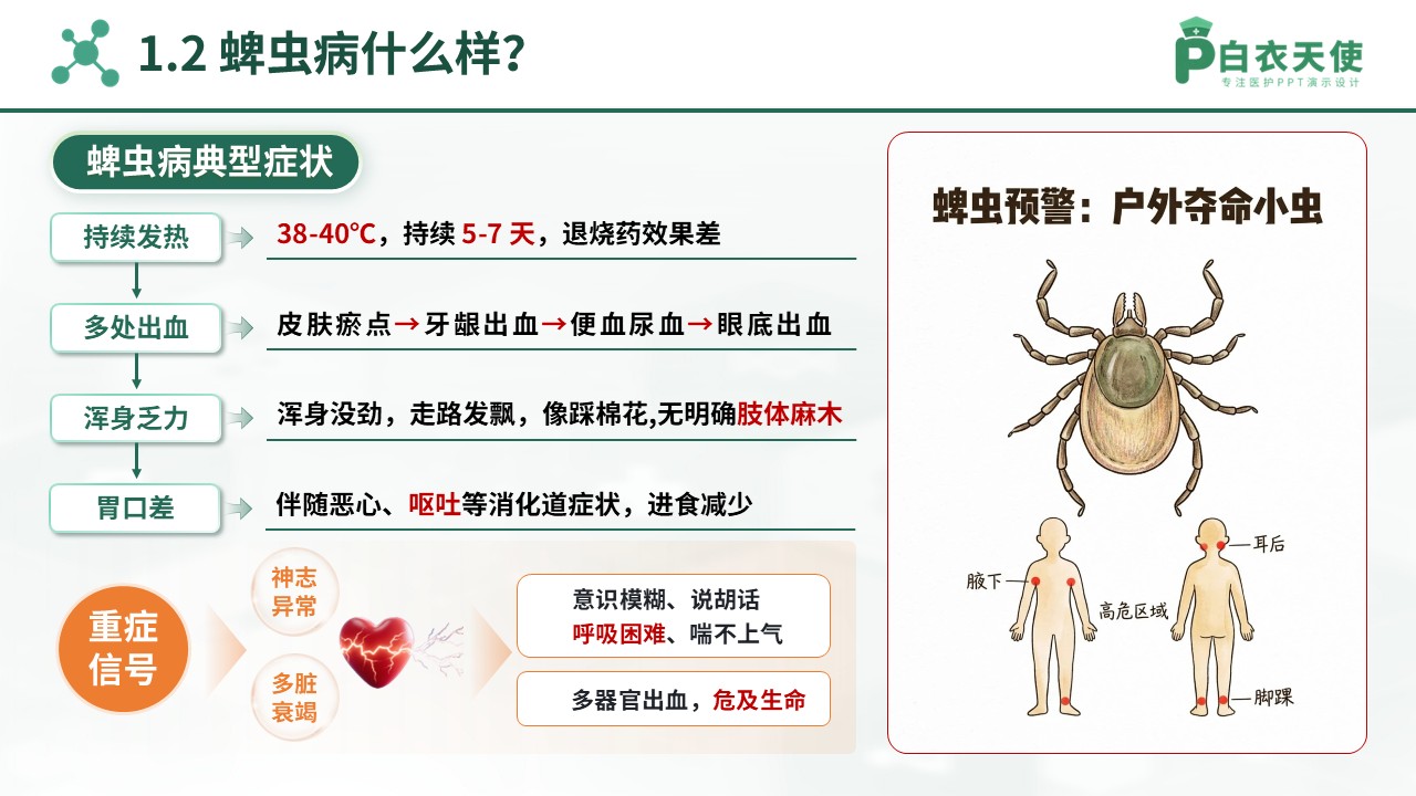 86-蜱虫病护理规范指导第4页预览