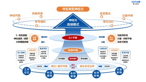 49-1科研绘图(医科-蓝橙)