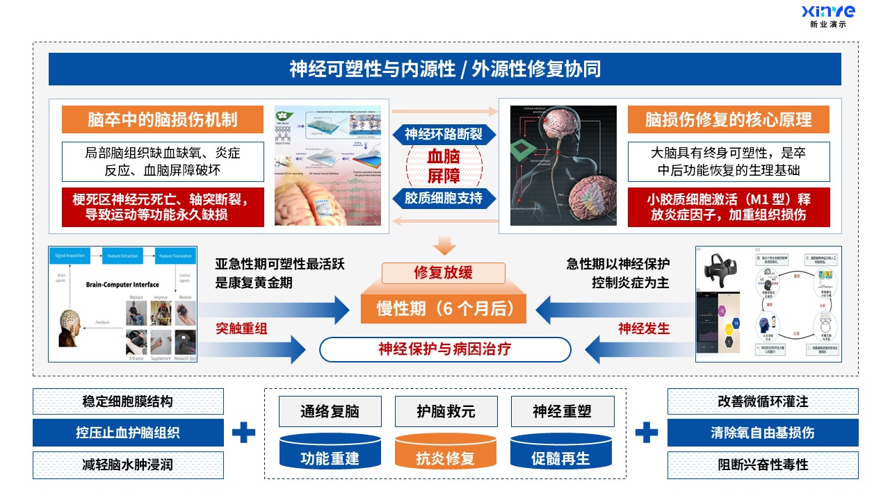 49-1科研绘图（医科-蓝橙）第3页预览图