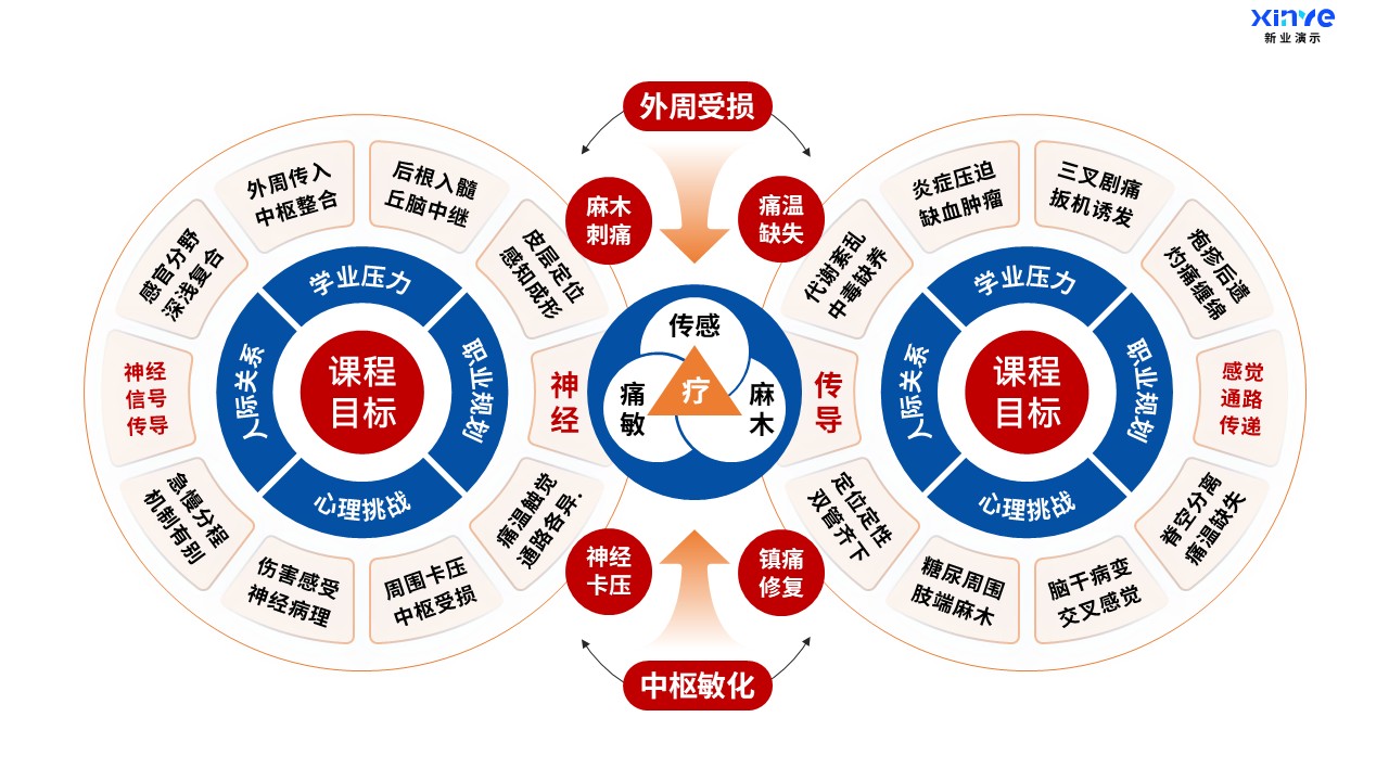 49-1科研绘图（医科-蓝橙）第7页预览图