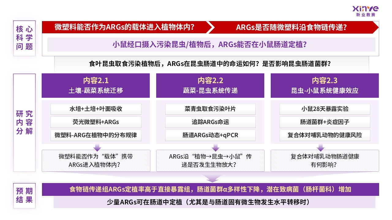 51-1技术路线图（新型污染物-紫色）第5页预览图